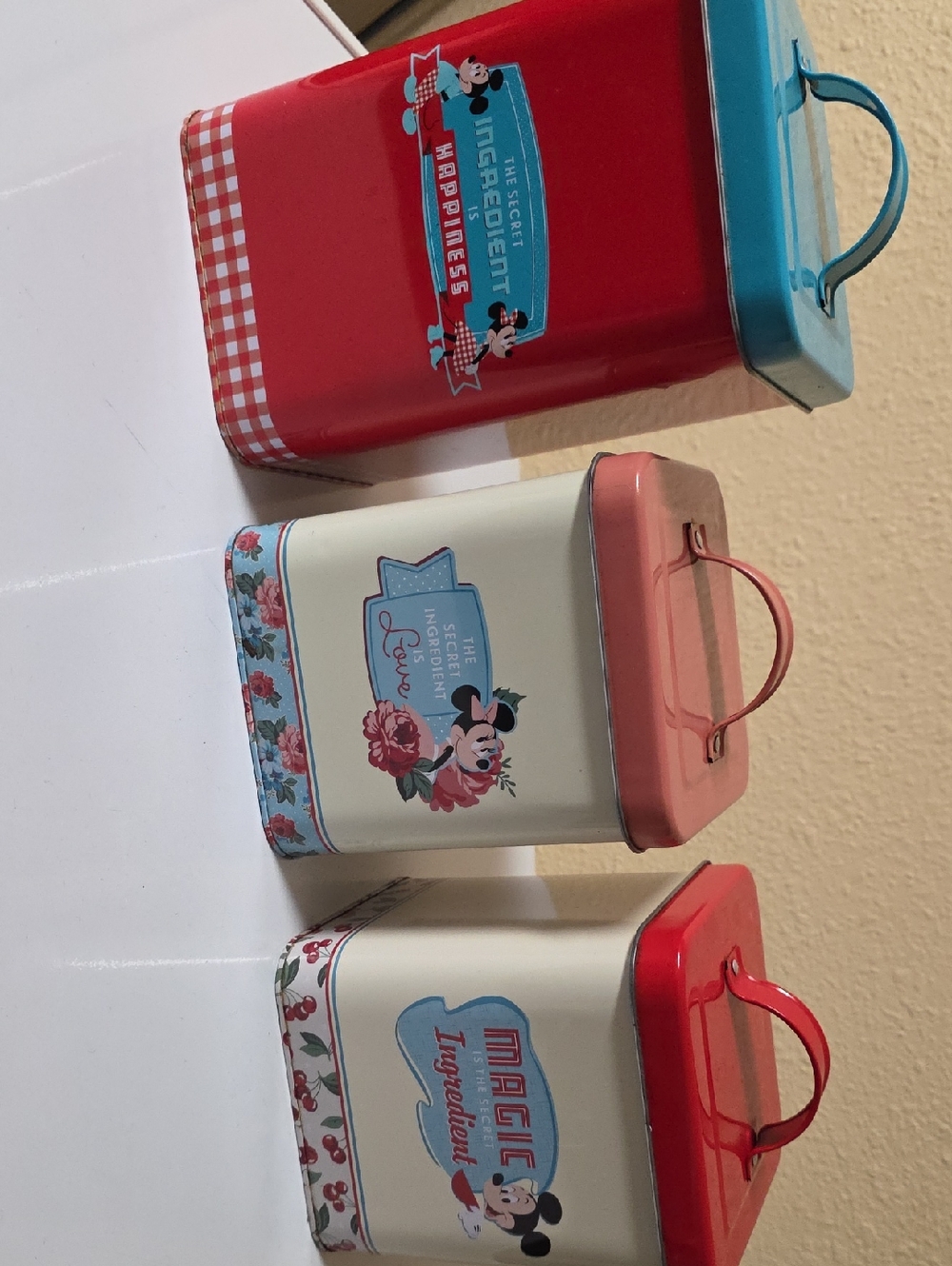 Disney Red and White Gingham Food Storage Box with Teal Label